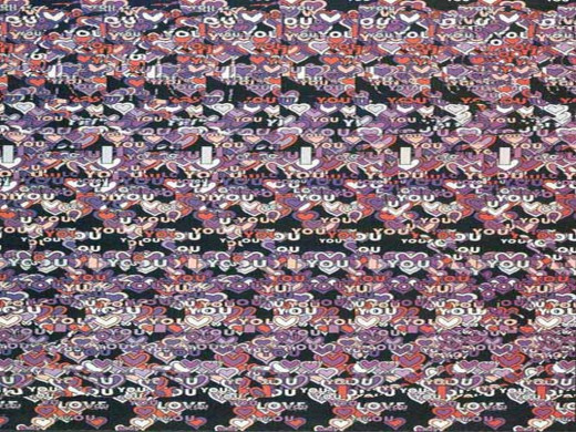 8665 (a): :1024x768